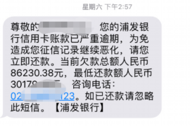 阎良要账公司更多成功案例详情